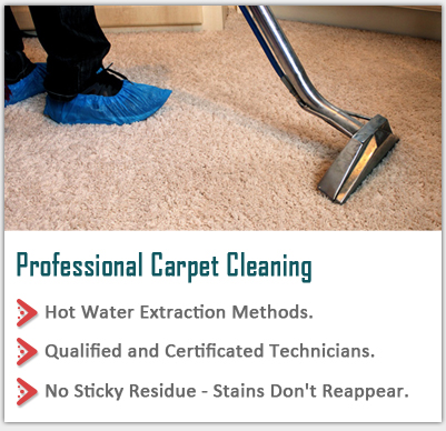 professional carpet cleaning